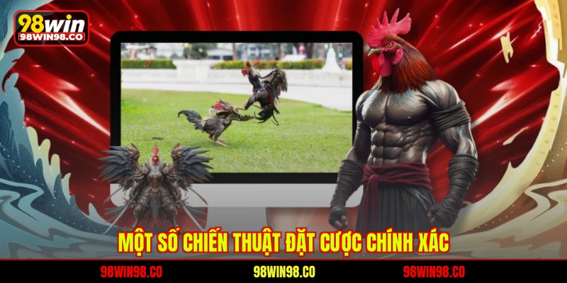 Đá Gà 88 - Đấu Trường Kê Chiến Đỉnh Cao Hấp Dẫn Tại 98WIN Một số chiến thuật đặt cược chính xác