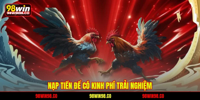 Đá Gà 88 - Đấu Trường Kê Chiến Đỉnh Cao Hấp Dẫn Tại 98WIN Nạp tiền để có kinh phí trải nghiệm